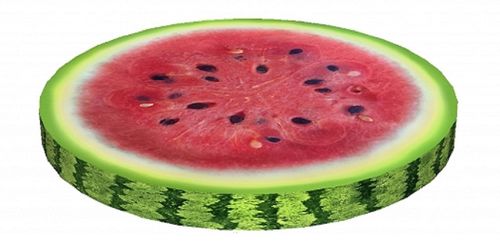 Stuhlkissen RING »Wassermelone« PH09